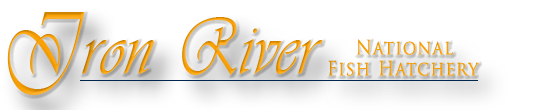 Iron River NFH Logo Text