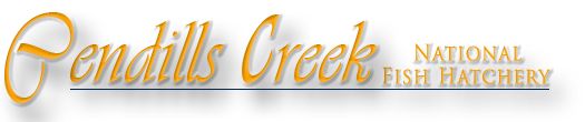 Pendills Creek NFH Logo Text