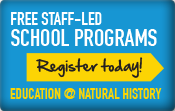 Register today for free staff-led school programs! Education at Natural History.