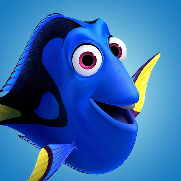 Dory