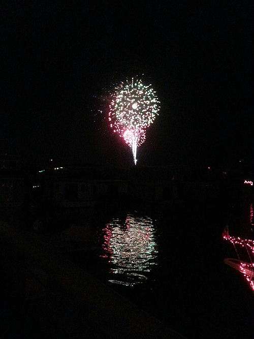 Fireworks display in Washington DC