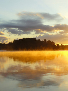 Golden Mist on the Lake