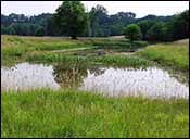 Restored oxbows in Iowa are the model for efforts in Ontario, Canada.