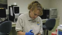 Photo of Molecular Ecology Lab manager preparing a genetic test