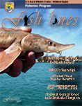 2014 Cover Image of Fish Lines