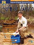 2013 Nov 14 Cover Image of Fish Lines