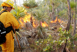 A man in protective yellow gear stands monitoring a low burning fire