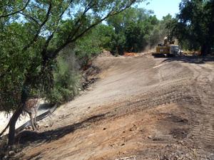 Napa River, Rutherford Reach before restoration