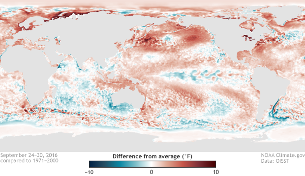 Sea surface temperature anomalies in the Pacific Ocean