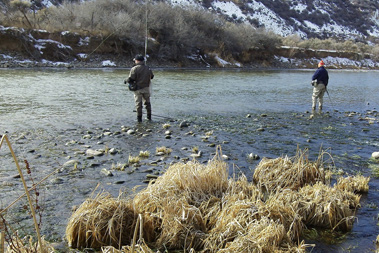 Fly fishermen standing in the Gunnison River. Credit: USFWS.