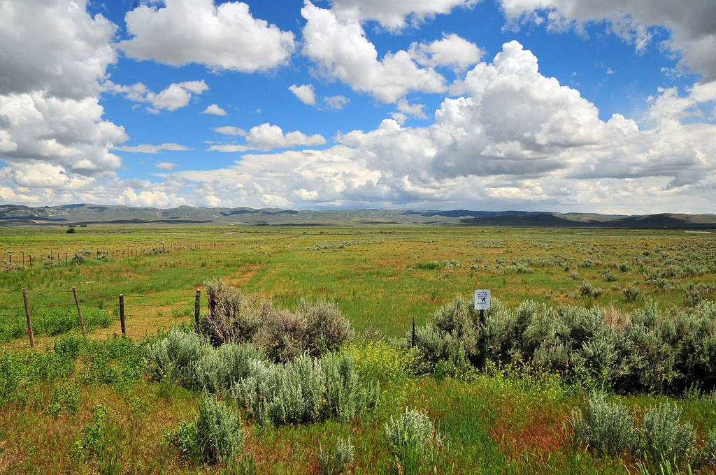 Cokeville Meadows NWR. Credit: USFWS