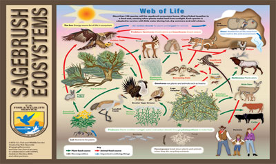 Greater Sage-Grouse distribution map. Credit: USFWS.