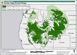 Thumbnail image of Map of Current and Historical greater sage-grouse Distribution