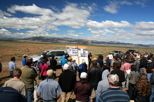 Nevada land managers discuss a post-fire rehablitation project for greater sage-grouse on Marsh Creek Bench, Nevada. Credit: Theo Stein/USFWS . Credit: Jeannie Stafford/USFWS.