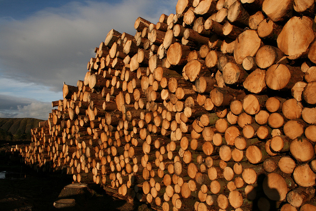 Log piles