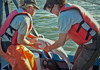 Heather Swinney, Photo: Steve Martarano, USFWS