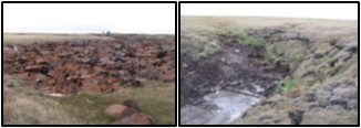 Before and after cleanup at Qiqu, 2009.