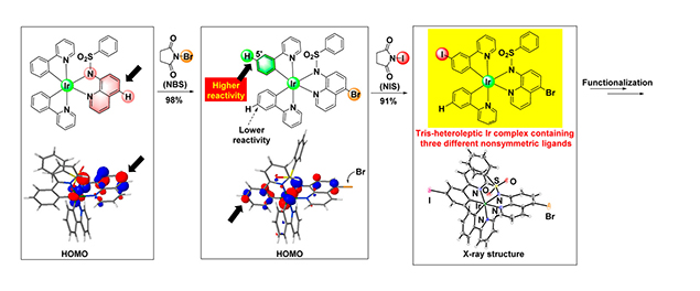 Design and Synthesis of Tris-Heteroleptic Cyclometalated Iridium(III) Complexes Consisting of Three Different Nonsymmetric Ligands Based on Ligand-Selective Electrophilic Reactions via Interligand HOMO Hopping Phenomena 
