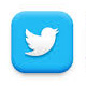 twitter  icon, button