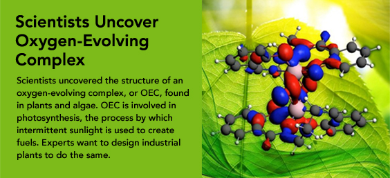 Scientists Uncover Oxygen-Evolving Complex