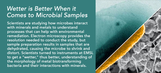 Wetter is Better When it Comes to Microbial Samples