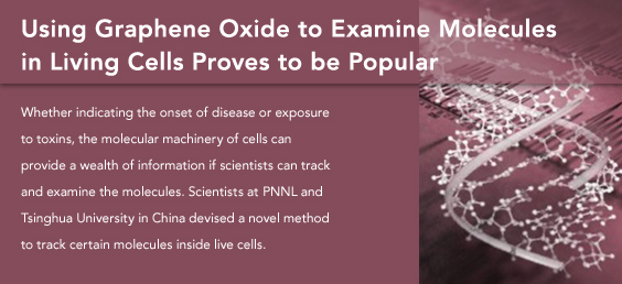 Using Graphene Oxide to Examine Molecules in Living Cells Proves to be Popular