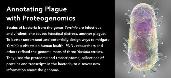 Annotating Plague with Proteogenomics