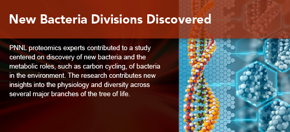 New Bacteria Divisions Discovered