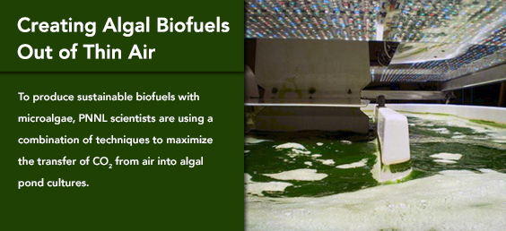 Creating Algal Biofuels Out of Thin Air