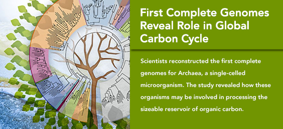 First Complete Genomes Reveal Role in Global Carbon Cycle