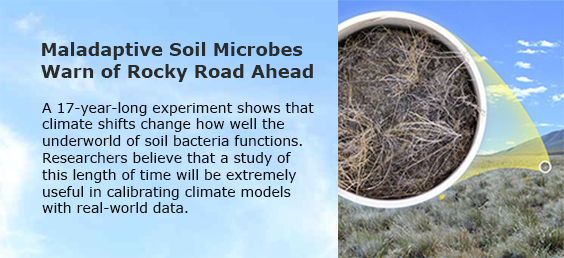 Maladaptive Soil Microbes Warn of Rocky Road Ahead