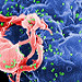 Scanning electron micrograph of HIV-1 budding (in green) from cultured lymphocytes. The image has been colored to highlight important features. Photo credit: C. Goldsmith, Centers for Disease Control and Prevention.