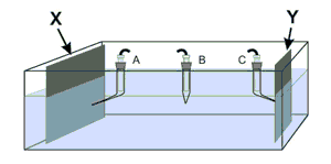 image of an electrochemical cell