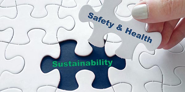 Puzzle piece saying Safety and Health and the hole for it says Sustainability