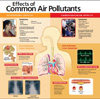 Effects of Common Air Pollutants medical poster