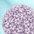 	Human Papillomavirus (HPV)