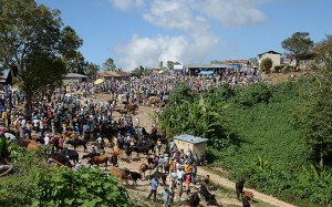 Seventeen kilometers of improved roads in the Haitian mountain community of Fond-Baptiste now provide easy access to this local Monday market and larger markets on the coast. / Steve Goertz