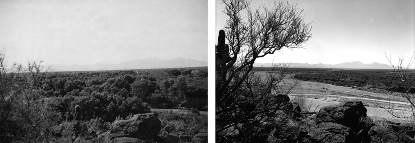  [Photos: reach of the Santa Cruz River south of Tucson, Arizona.] 