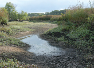  [Photo: Pool and dry river bed] 