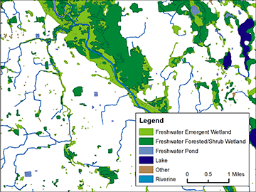 Wetlands Mapper with new data icon