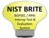 BRITE logo