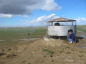 Worker sampling irrigation well near Kern, California.<br />Photo by: Timothy Mathany