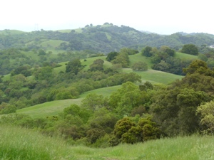 Hills in the Spring, Santa Cruz Mountains, California.<br />Photo by: George Bennett