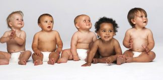 Cinco bebés en pañales sentados en fila (Shutterstock)