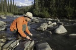 Gold panning in Alaska