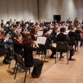 An orchestra sits on stage and performs