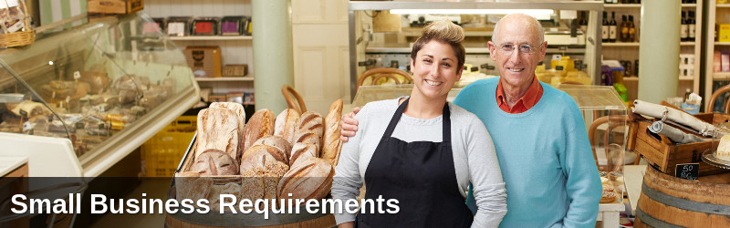 Small Business Requirements