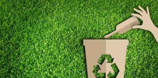 Cardboard recycling cutout on grass (Shutterstock)