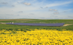 Westby, Wisconsin, is home to Clean Energy Collective's 305-kilowatt Vernon Electric Community Solar Farm. | Photo Courtesy: Clean Energy Collective