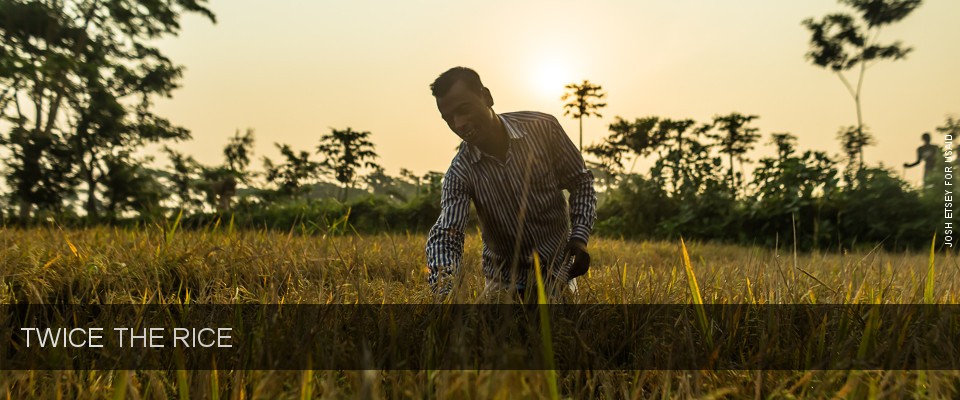 Twice the Rice. Photo: Josh Etsey for USAID